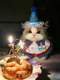 Pet Birthday Bandana Hat Set for Cats and Small Dogs, Adjustable Cake Bib Scarf and Party Hat Photo Props