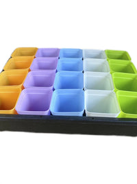 Seedling Tray with 20 Cells and Optional Humidity Dome for Succulents and Plant Propagation