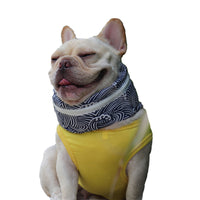 Pet Cooling Scarf for Dogs, Summer Heat Relief Ice Collar for French Bulldogs Pugs