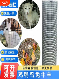 Galvanized Steel Wire Mesh for Poultry Fencing, Garden Barrier, Plastering, and Cages