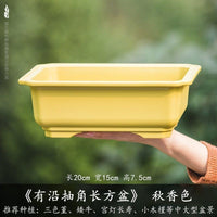 Rectangular Resin Planter for Succulents, Green Plants, Bonsai - Breathable Imitation Zisha