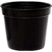Plastic Nursery Pots for Seedlings and Succulents - White and Black Small Round Planters