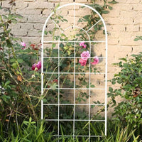 Metal Garden Trellis for Climbing Plants, Rose, Clematis, and Vines - Outdoor Balcony Plant Support