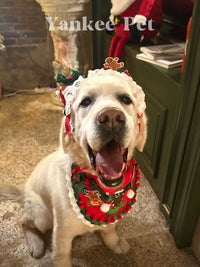 Christmas Pet Scarf with LED Lights & Headband Set, Santa Dog Costume for Holiday Photos