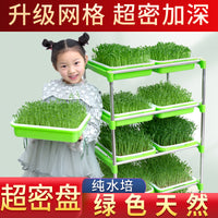 Hydroponic Seed Sprouting System with Multi-Tier Rack for Home Garden