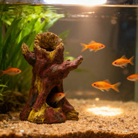 Natural Driftwood Aquarium Decoration for Fish Tank and Reptile Terrarium