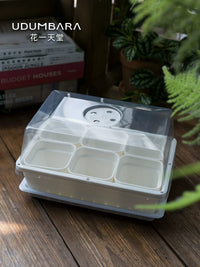 Thickened Square Plastic Succulent Planter with Tray or Lid for Seedling Cultivation