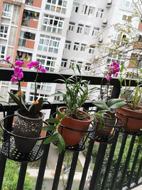 Balcony Railing Hanging Planter Rack for Succulents and Potted Plants, Iron Art Window Sill Flower Pot Holder