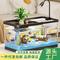 Desktop Aquarium Turtle Tank with Lid, Clear Plastic Fish Tank for Home Living Room
