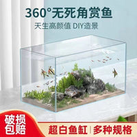 Crystal Clear Ultra-White Glass Aquarium for Desktop, Living Room, Betta Fish, Turtle, and Landscaping