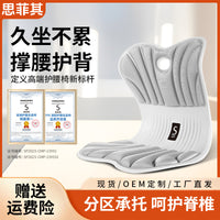 Ergonomic Lumbar Support Seat Cushion for Office Chair, Integrated Backrest for Prolonged Sitting Comfort
