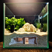 Ultra-Clear Glass Aquarium Fish Tank with Ecological Landscape Decoration for Home Living Room