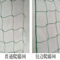Heavy-Duty Garden Trellis Netting for Climbing Plants, Vegetables, and Fruits