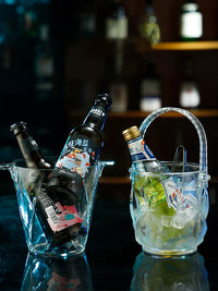Acrylic Ice Bucket with Tongs for Bar KTV Home Use, 3L/5L