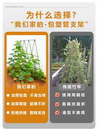 Plant Support Stakes for Climbing Vines, Tomatoes, Cucumbers, and Flowers - Plastic-Coated Steel