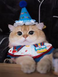 Pet Birthday Bandana Hat Set for Cats and Small Dogs, Adjustable Cake Bib Scarf and Party Hat Photo Props