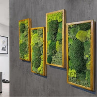 Preserved Moss Wall Art Decor Maintenance-Free 3D Green Plant Hanging Painting for Living Room Entrance