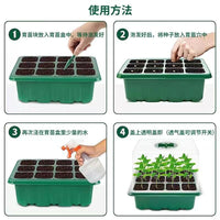 12-Cell Seedling Starter Tray with Adjustable Ventilation and Humidity Dome