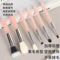 6-Piece Portable Makeup Brush Set with Soft Bristles and Storage Case