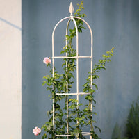 Garden Climbing Plant Trellis for Roses and Clematis, European Style Iron Flower Support Stake