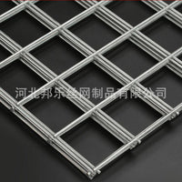 Galvanized Welded Wire Mesh Panel for Pigeon Breeding, Orchard Fencing, and Protection
