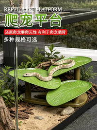 Acrylic Reptile Terrarium with Lid for Lizards, Geckos, and Turtles - Dual-Use Aquatic and Terrestrial Habitat