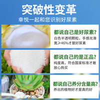 Urea Fertilizer for Vegetables and Flowers, High-Purity Nitrogen Compound Fertilizer for Agricultural Use