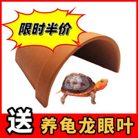 Terracotta Turtle Basking Platform & Hideaway Cave for Reptiles and Fish Tanks