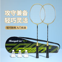 Iron Alloy Badminton Racket Set for Beginners and Training - Factory Direct Wholesale