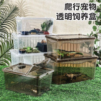 Reptile Terrarium Breeding Box for Lizards, Spiders, Snails, and Frogs with Feeding Bowl