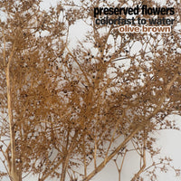 Preserved Dried Flower Miniature Tree Model for DIY Crafts and Dioramas