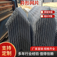 304/316 Stainless Steel Welded Wire Mesh Panels for Protection and Fencing
