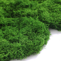 Artificial Moss for Landscaping and Micro-Landscape Decor