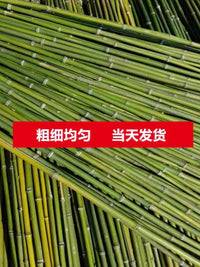 Natural Bamboo Garden Stakes for Climbing Vegetables and Trellising