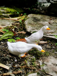 Outdoor Garden Pond Decor Drinking Duck Goose Figurines Patio Balcony Ornament