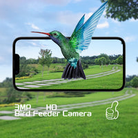 Smart Bird Feeder with HD Camera and Solar Panel for Outdoor Pet Birds