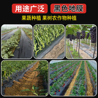 Black Agricultural Mulch Film for Weed Control, Greenhouse Planting, Thermal Insulation, and Moisture Retention