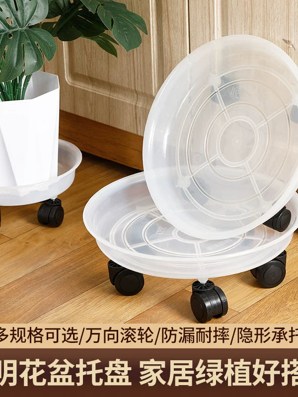 Transparent Plant Caddy with Wheels, Rolling Pot Tray for Moving Potted Plants and Catching Water