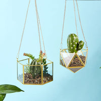 Geometric Glass Terrarium Hanging Planter for Succulents Air Plants, Copper Edged Dustproof Display Case Ornament