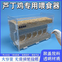 True Love Pet Quail Feeder Anti-Scatter Automatic Food Dispenser for Rutin Chickens