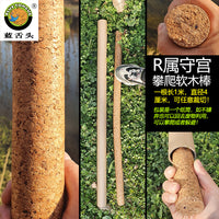 Reptile Hideout Kraft Paper Tube for Snakes, Lizards, Scorpions, Spiders - Simple Cave Shelter