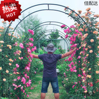 Garden Arch Trellis for Climbing Plants, Metal Rose Archway for Outdoor Vines, Grapes, and Vegetables