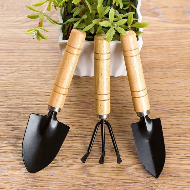 Gardening Tool Set for Potted Plants and Succulents, Includes Trowel, Shovel, and Cultivator