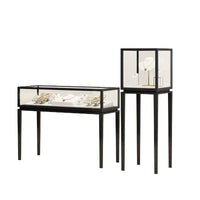 Jewelry Display Cabinet with Dustproof Glass for Home or Museum