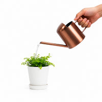 Stainless Steel Long Spout Watering Can for Indoor Plants, 300ML Mini Garden Watering Pot