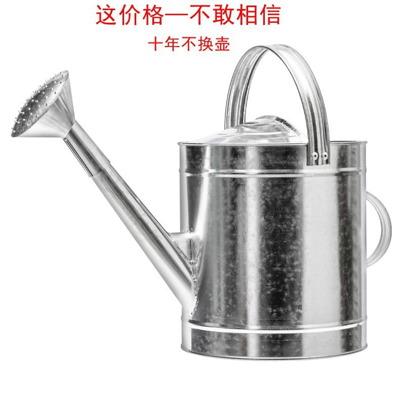 Large Capacity Watering Can for Garden and Home Use