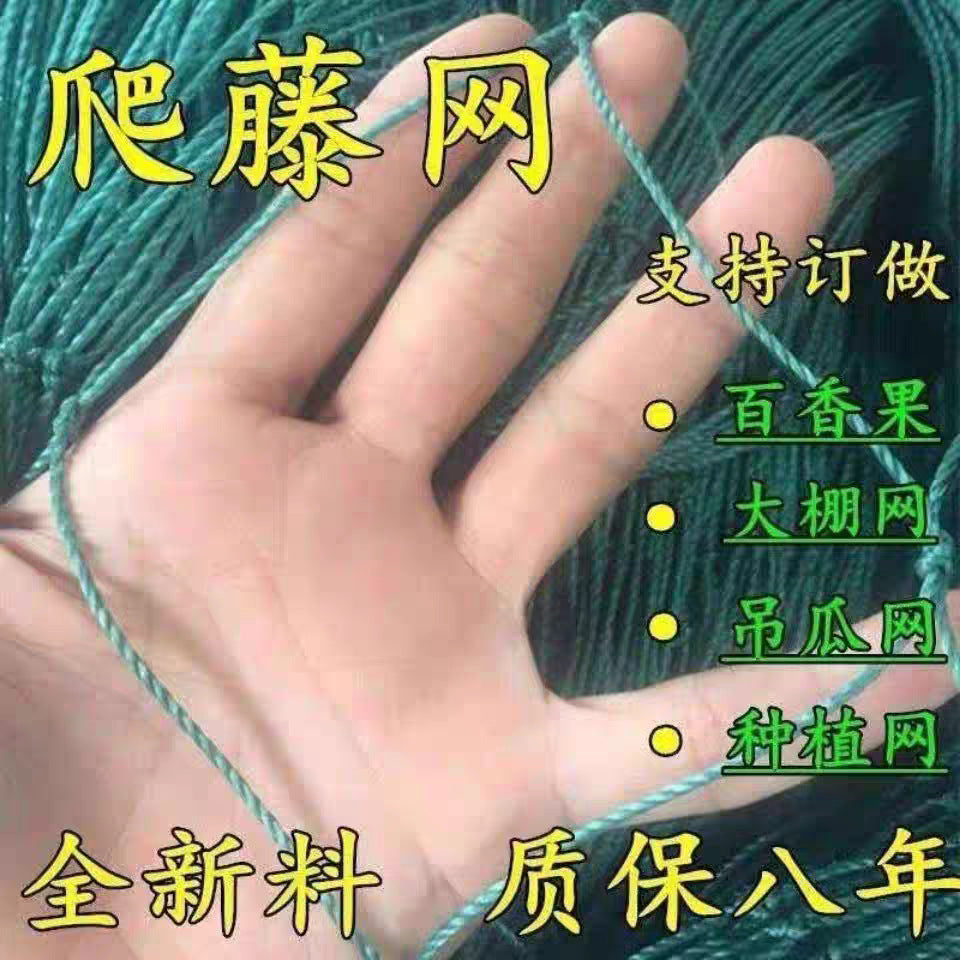 Heavy-Duty Trellis Netting for Climbing Plants, Fruits, and Vegetables - Garden and Farm Use