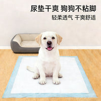 Pet Training Pads with Activated Carbon for Odor Control, Super Absorbent Disposable Dog Pee Pads