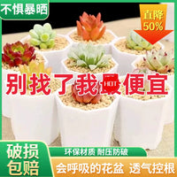 Thickened Octagonal Plastic Succulent Planter Pot for Home Gardening and Seedling Propagation