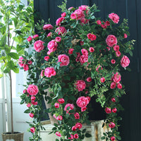 Artificial Tea Rose Vine Garland Fake Flower String for Wedding Home Decor Wall Decoration